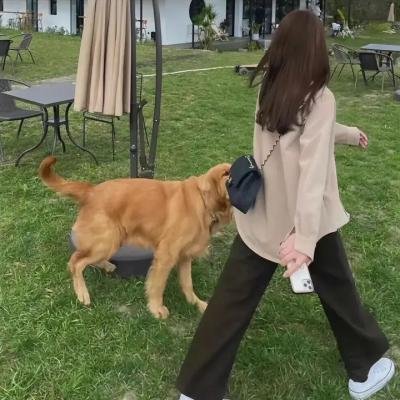 铿锵铁骨